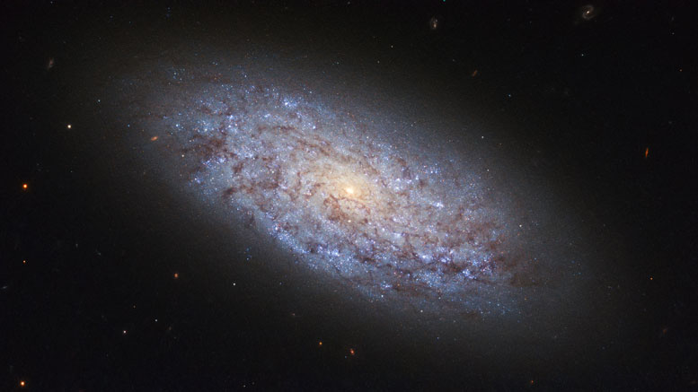 本周的哈勃图像 -  Dwarf Galaxy NGC 5949