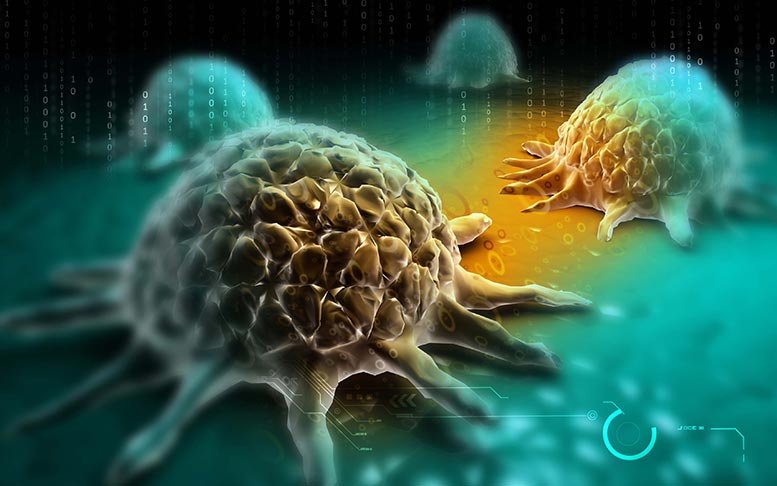 耶鲁研究提供了癌细胞如何传播的新线索