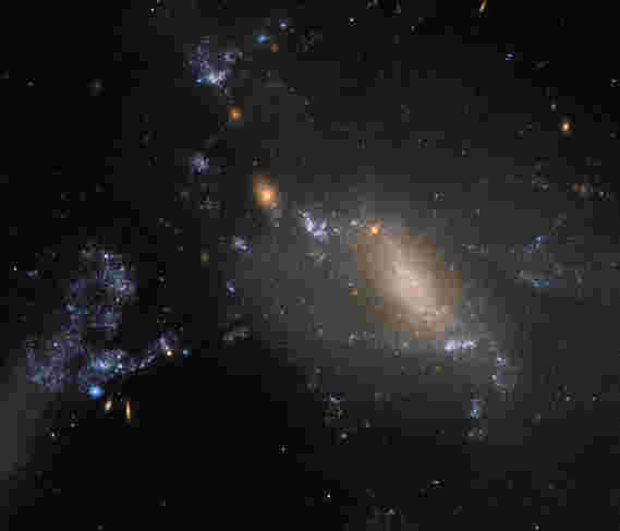 本周的哈勃图像 -  NGC 3447的互动星系