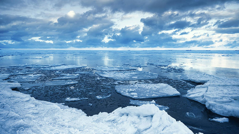 北极海冰损正在影响大西洋水循环系统