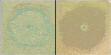 卡西尼岛观看土星从冬天到夏天的戏剧性过渡