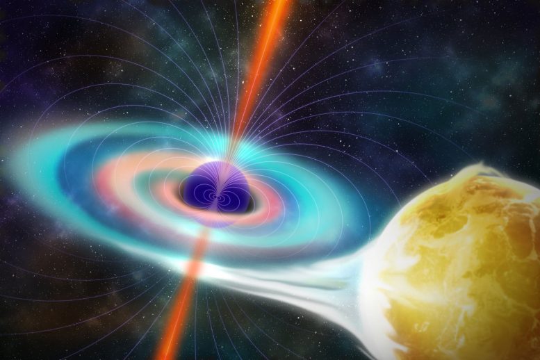 天文学家测量黑洞V404 Cygni的磁场