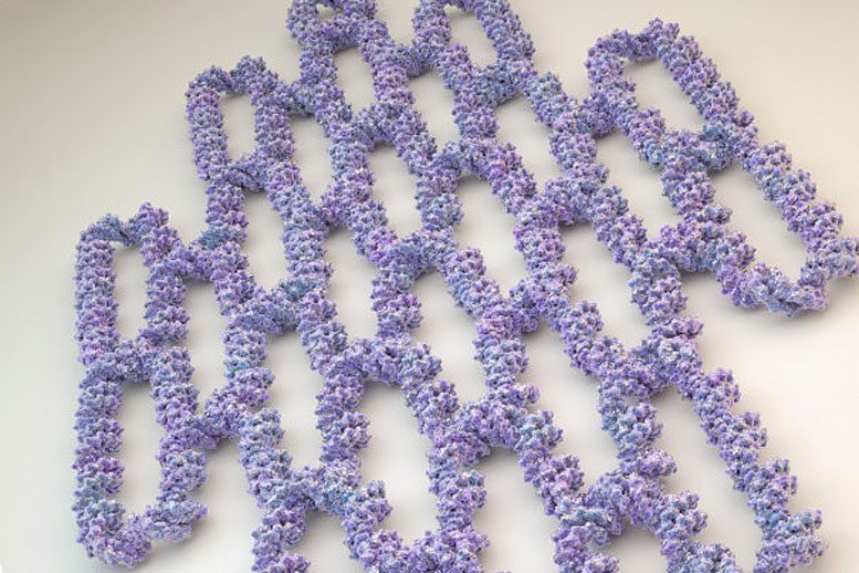 单链DNA和RNA折纸可以自动折叠成定义​​的结构