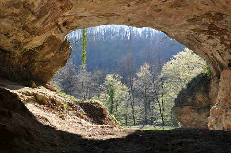 生物学家对克罗地亚温迪贾洞穴的一个新的尼安德特人基因组进行测序