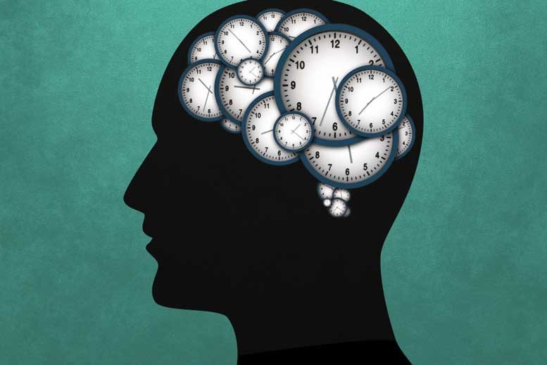 神经科学家发现控制时间的神经元网络