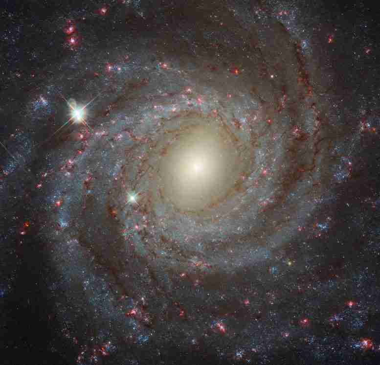 新释放的螺旋星系NGC 3344的哈勃图像