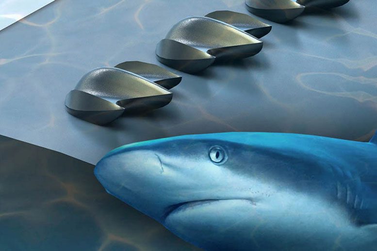 鲨鱼皮肤启发设计改善了空气动力学性能