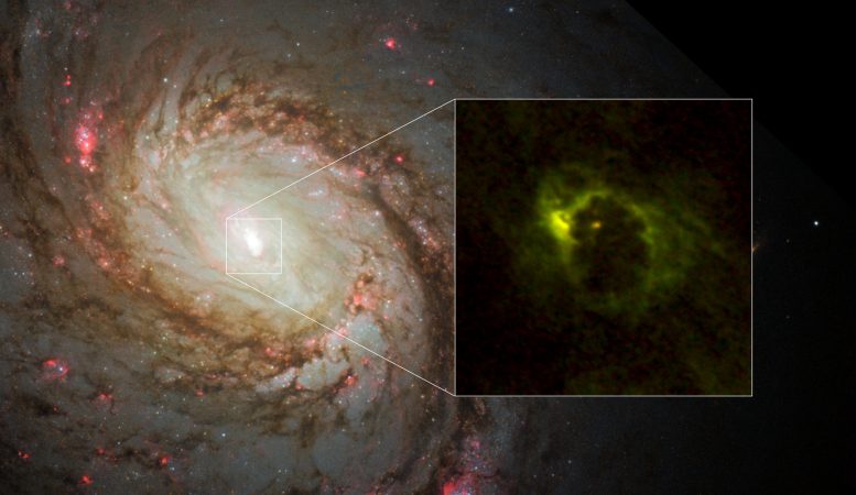 Alma透露围绕活性超大的黑洞旋转致密分子圆环