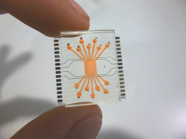 令人惊叹的微流体芯片模拟生活机器官和组织