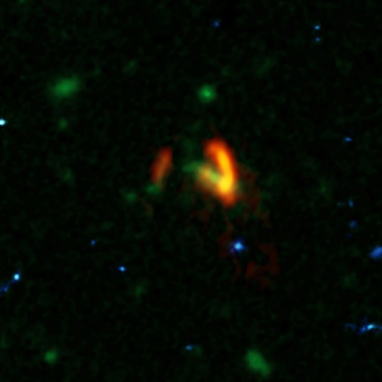 早期宇宙中大量星系的观测揭示了稀有的暗物质光环