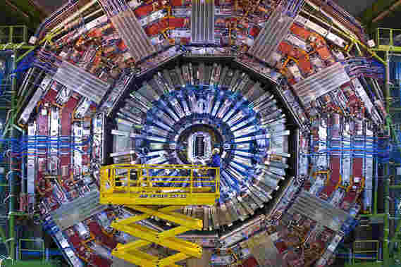 CERN开放数据门户结果确认提包粒子图案