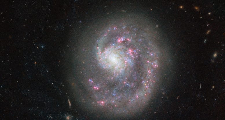 本周的哈勃望远镜图像 -  Dwarf Galaxy NGC 4625