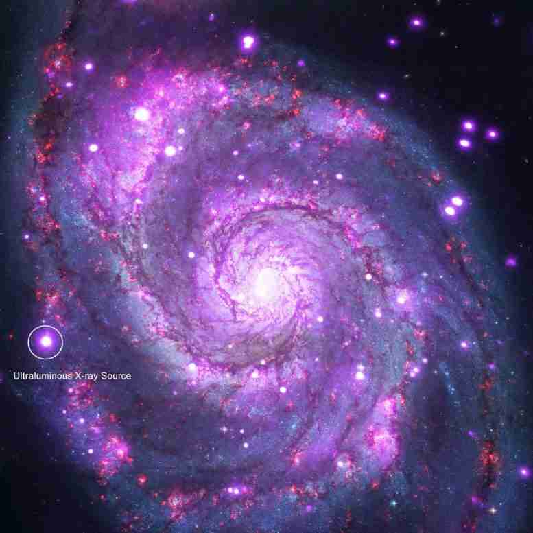 Chandra发现中子星动力的超易X射线源