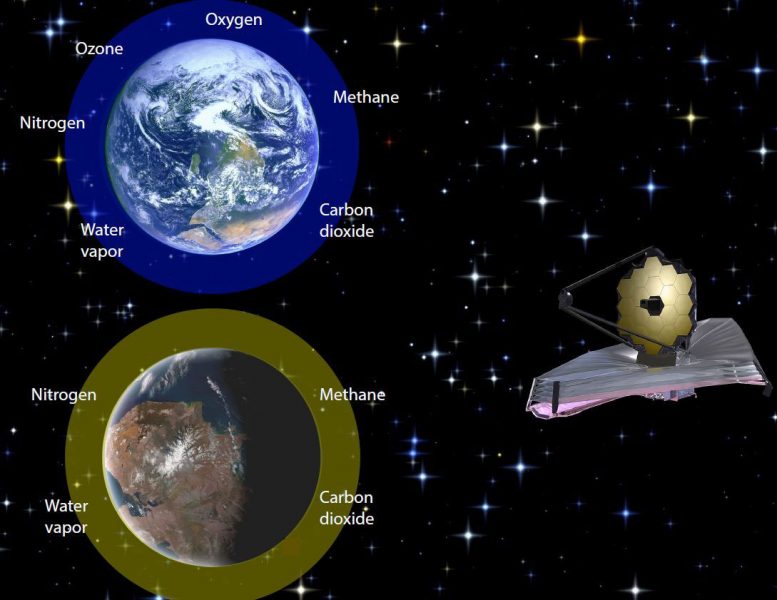 使用不平衡生物特征检测系外行星生命