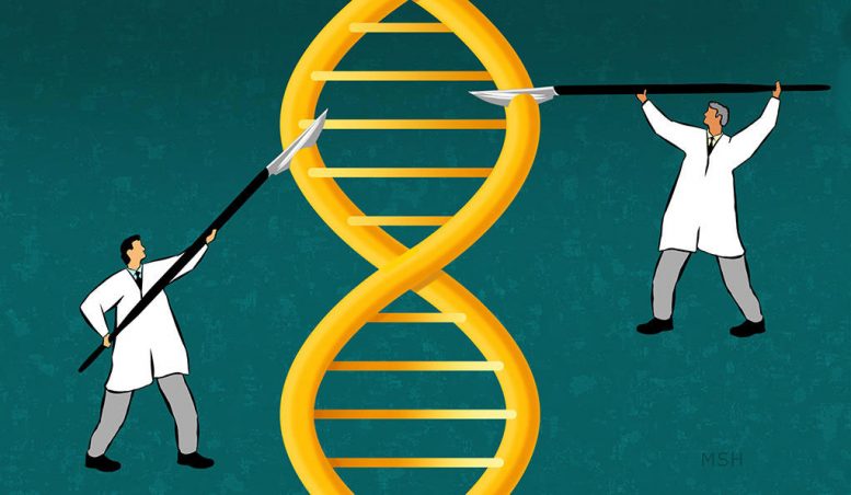 科学家创造了一种更精确的技术来编辑生物体的基因组