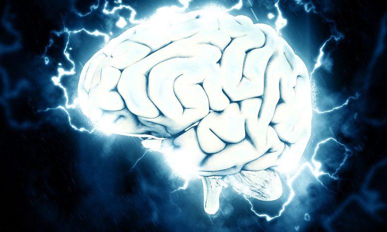 神经根学家揭示了意识出现前的分裂中发生了什么