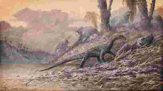 古生物学家对三叠纪，恐龙的出现提供了新的视角