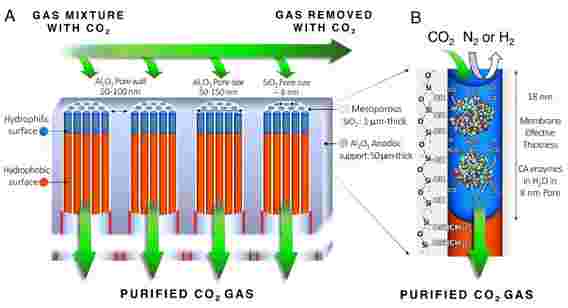 生物启发膜分离并捕获温室气体