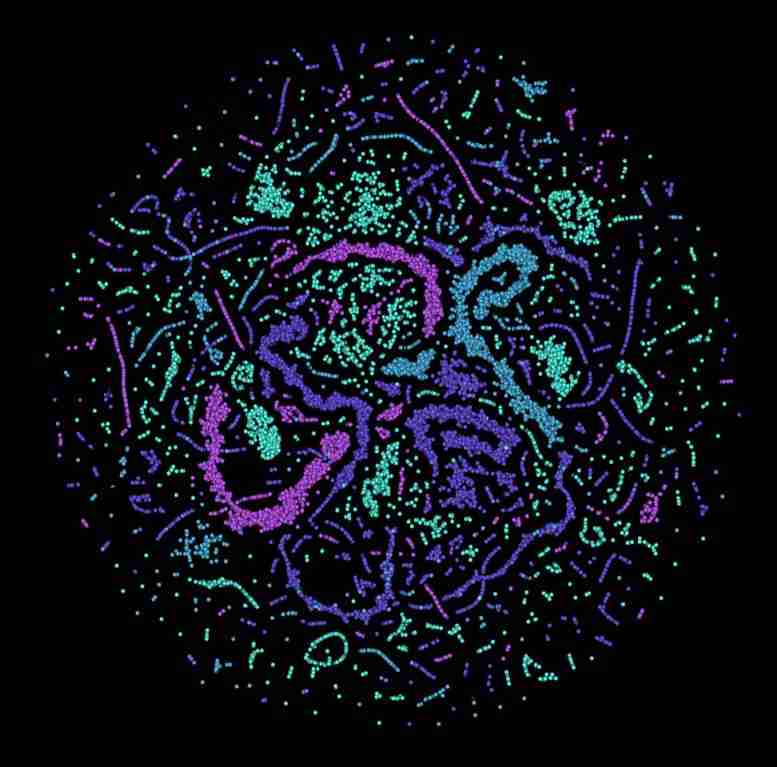 AI控制量子纠错系统能够学习