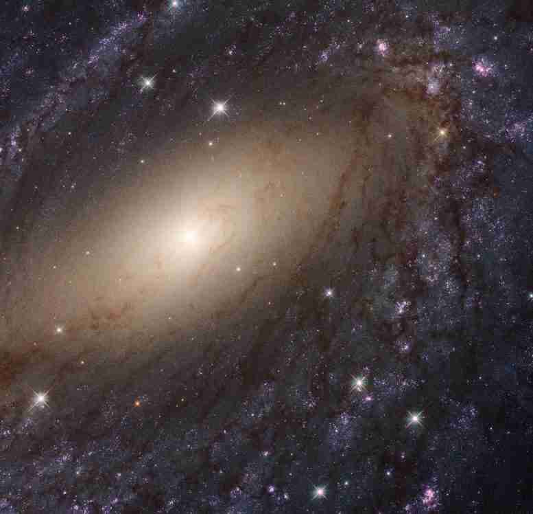 哈勃望远镜揭示了紫外线的本地宇宙