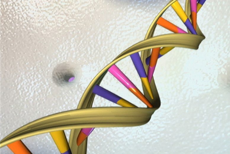 化学工程师揭示了如何控制在DNA分子中形成的结