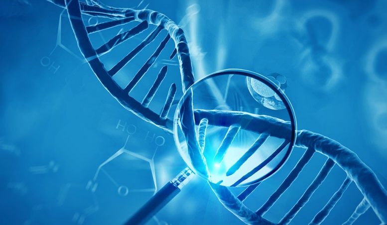 科学家发现失踪的多发性硬化基因