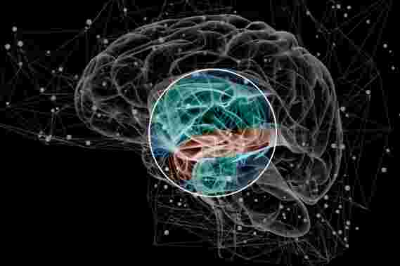 神经科学分子识别与精神分裂症相关的脑活动模式