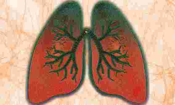 研究人员发现哮喘肺部痉挛的原因