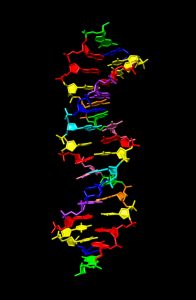 科学家创造了类似DNA的分子来寻找外星人的生活