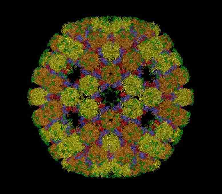 几何到病毒：数学用于解决病毒难题