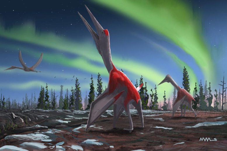 鉴定了新的巨型飞爬爬行动物的物种：“北方的冰龙”
