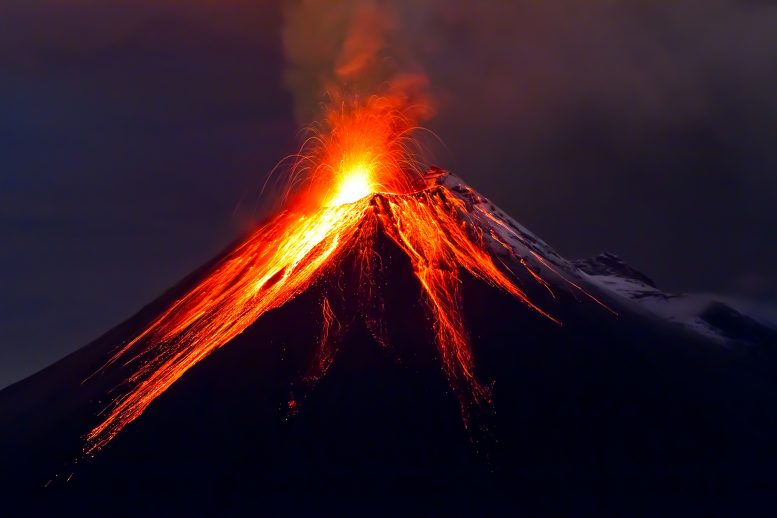 深根的管道系统在海洋火山下面发现