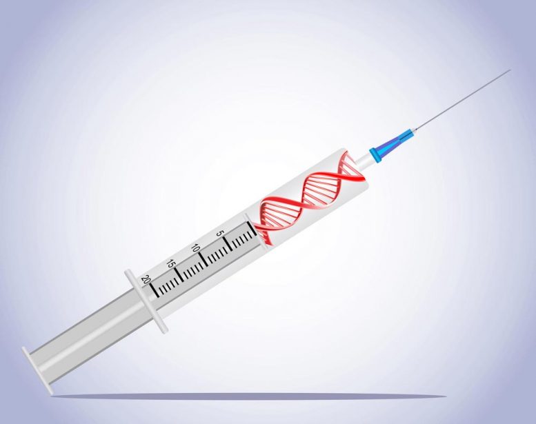 使用DNA建筑试剂盒取代昂贵的抗体药物