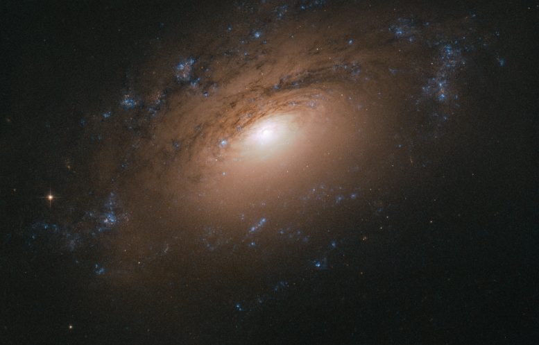 哈勃捕获螺旋星系NGC 3169的急剧角度角度