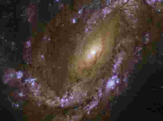 本周的哈勃图像 - 一个爆炸性的星系