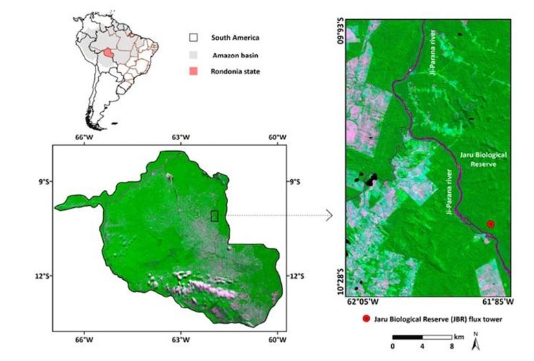 深入了解2019年亚马逊雨林卫星研究的火灾