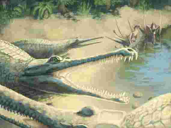 250年前发现了一个神秘的侏罗纪鳄鱼化石 - 现在他们终于有答案
