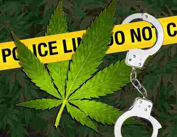 研究分析了娱乐大麻对犯罪的合法化 - 这是结果