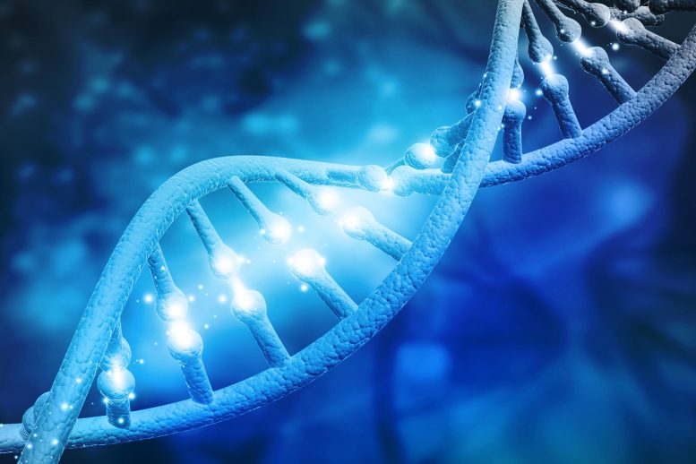 康奈尔科学家在DNA复制背后解开神秘