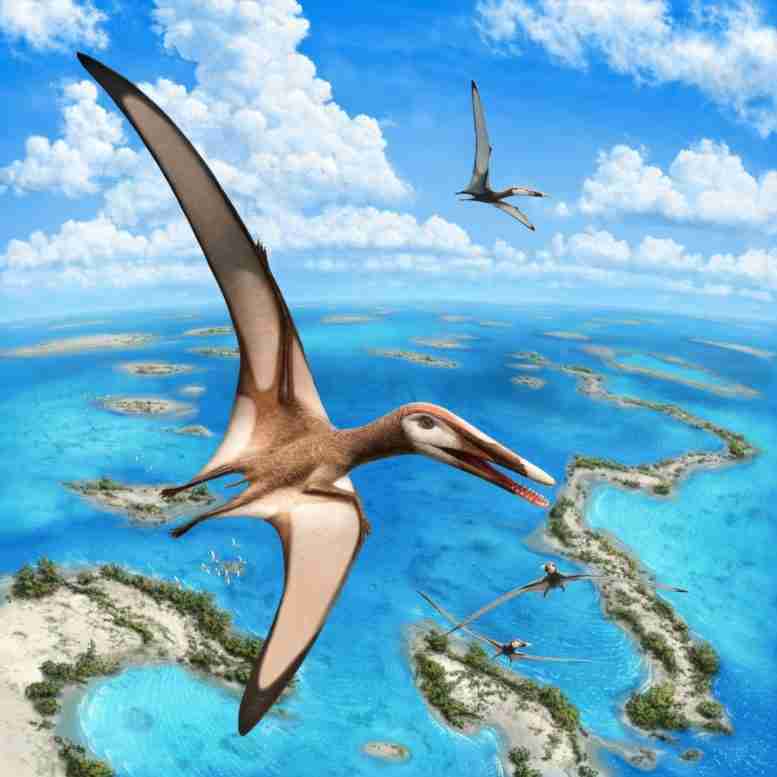 由古生物学家鉴定的新组古代飞爬行动物