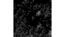 “好惊讶！”– NASA的系外行星狩猎任务引爆了一颗爆炸的彗星