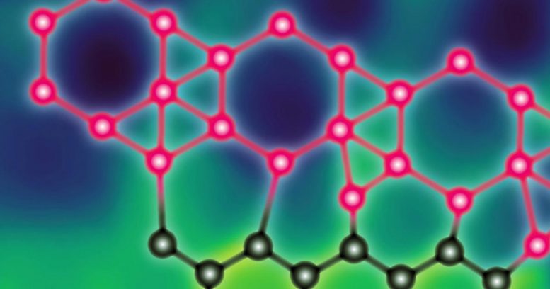 将硼丁烯和石墨烯集成到未来电子产品的2D异质结构中