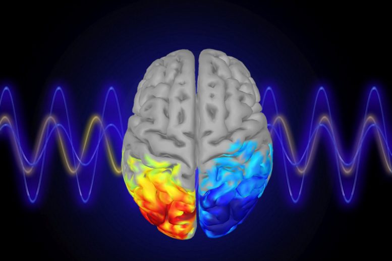 麻省理工学院神经科学家展示了用脑波控制注意力