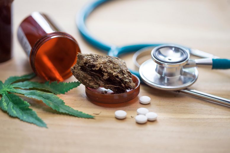 医疗大麻研究表明，在减少阿片类药物的使用和滥用中的承诺