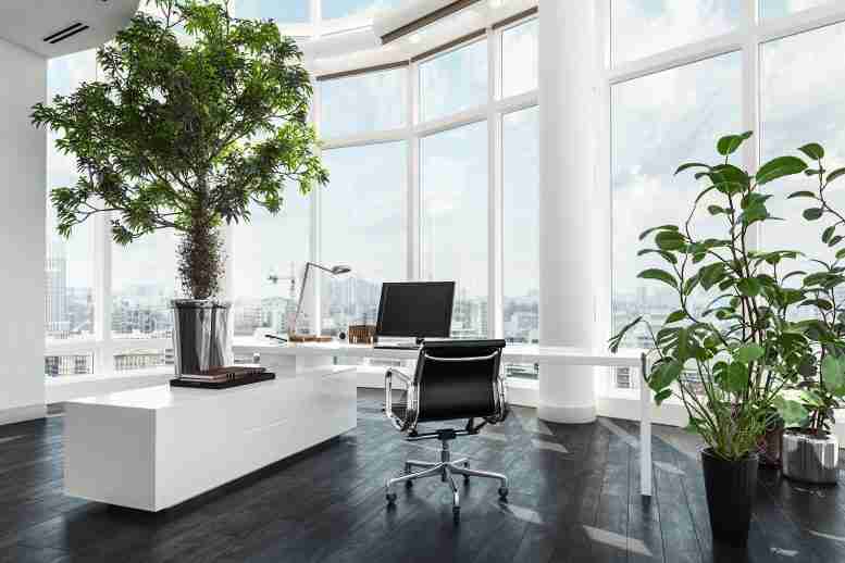 数十年来，研究人员声称盆栽植物可以改善室内空气质量，但不能