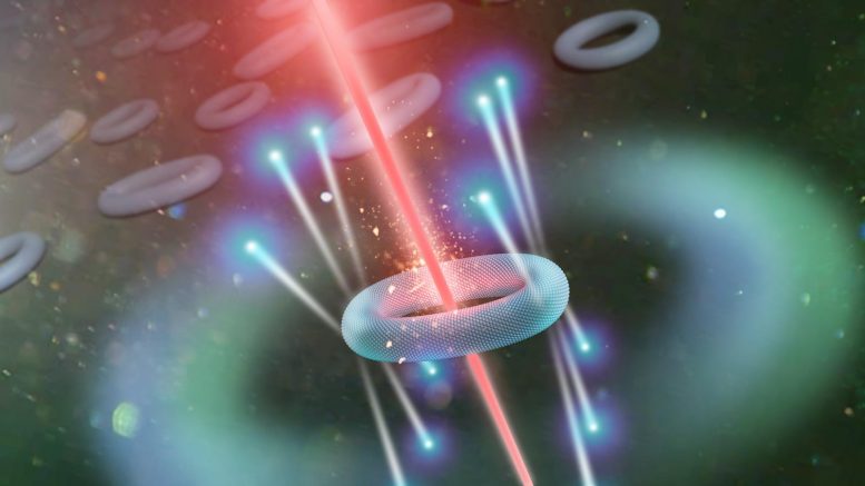 环形纳米颗粒的惊喜带来了改进的量子信息技术