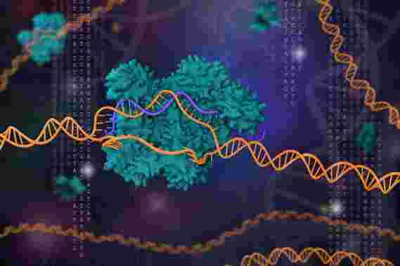 研究人员为革命性基因拼接工具CRISPRER发现新用途