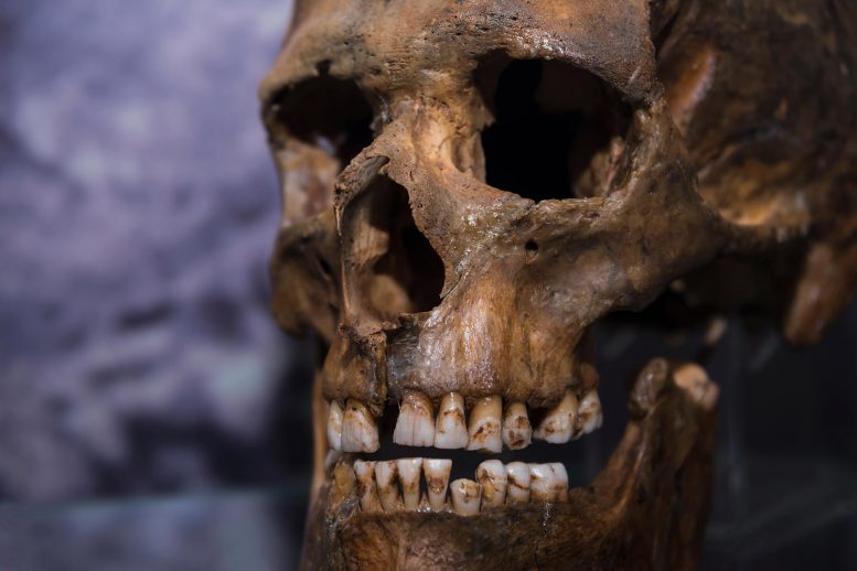 是什么导致尼安德特灭绝的，是我们的人类祖先的罪魁祸首？