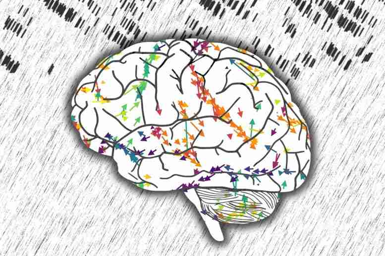 脑网络的时空结构 - 神经科学家解码神经元活动