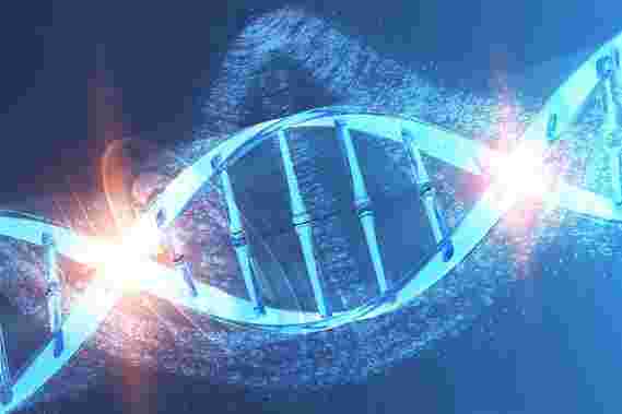 阐明遗传暗物质–发现人类“ DNA重复序列”